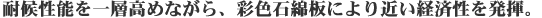 �ό󐫔\����w���߂Ȃ���A�ʐF�ΖȔɂ��߂��o�ϐ��𔭊��B