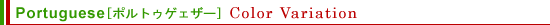yPortuguese Tile[|gDQFU[]zColor Variation