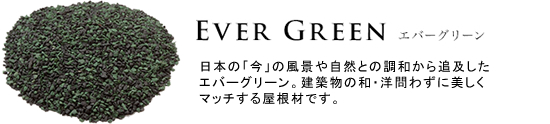 EVER GREEN エバーグリーン