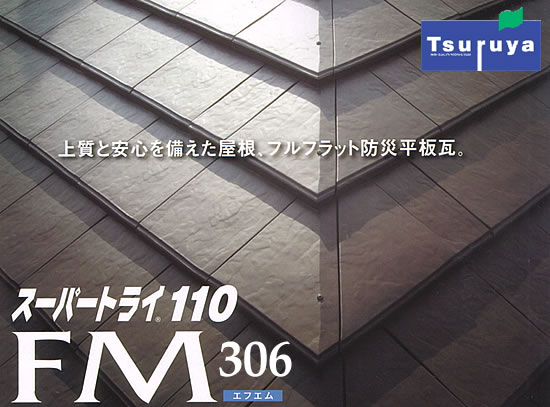 yX[p[gC110FM306[GtG306]zВߖ